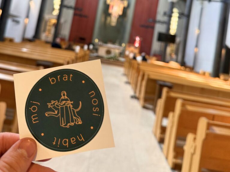 Niedziela Dobrego Pasterza: bracia w drodze i wielka wdzięczność